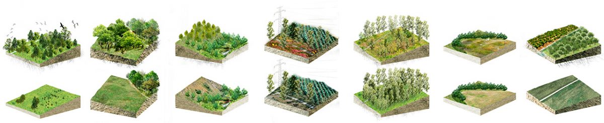 Pazo de Quián landscape blocks