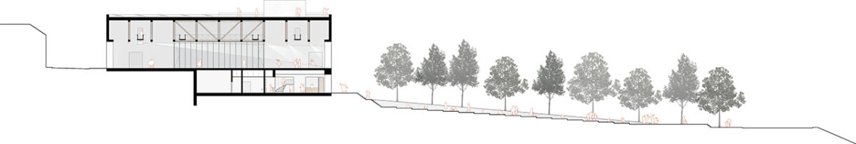 Long section of the Torreperogil Theater