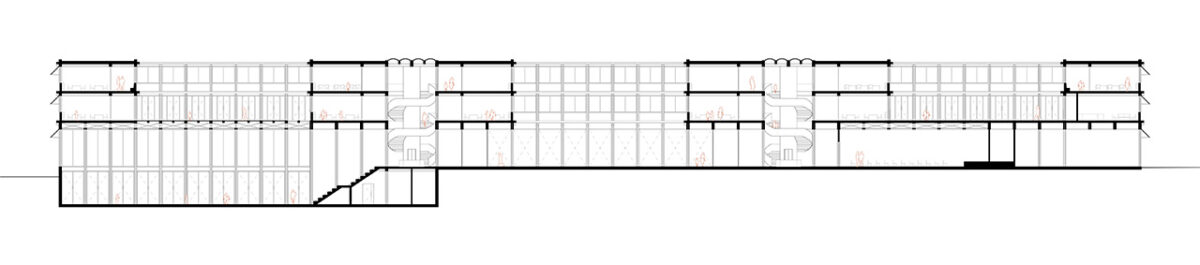 Primary School Stara Boleslav long section